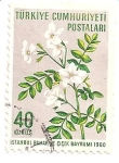 Stamps : Asia : Turkey :  figura