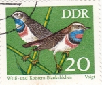Stamps Germany -  aves