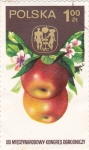 Stamps Poland -  manzanas