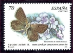 Stamps Spain -  varios