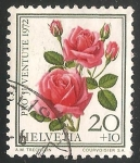 Stamps Switzerland -  Rosa milagro