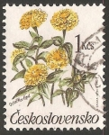 Stamps Czechoslovakia -  zinnia elegans ( Rosa mística, Flor de papel)