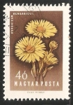 Stamps Hungary -  Flores Diversas