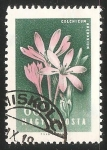 Stamps Hungary -  Colchicum arenarium