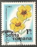 Stamps Romania -  Flores