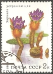 Stamps Russia -   Euryale ferox