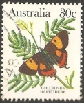 Stamps Australia -  Hairstreak sedoso 