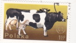 Stamps Poland -  vacas