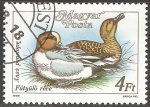Stamps Hungary -  Anas penelope-Silbón Europeia 
