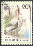 Stamps Japan -  Diomedea albatross-Gran albatros 