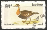 Stamps Oman -  red breasted goose-Ganso de peito encarnado
