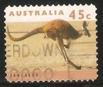 Stamps Australia -   kangaroo-Canguro 