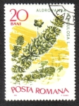 Stamps Romania -  Plantas Acuáticas