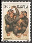 Stamps Rwanda -  Chimpanzes