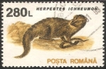 Stamps Romania -  Herpestes ichneumon-mangosta común 