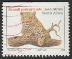 Stamps South Africa -  Leopardo
