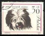 Stamps Poland -  polski oweczarek nizinny