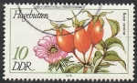 Stamps Germany -  1957 - Planta hagebutten