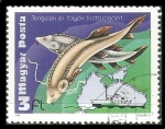 Stamps Hungary -  Environmental protection of rivers and seas