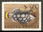 Stamps Poland -  Spotted triggerfish