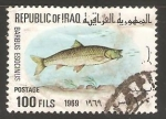 Stamps Iraq -  Barbus esocinus