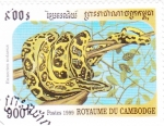Stamps Cambodia -  serpiente