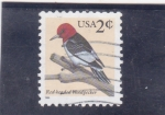 Stamps United States -  ave- pajaro carpintero