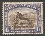 Stamps South Africa -  Equidos