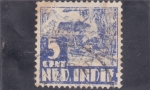 Stamps Netherlands -  AGRICULTURA-INDIAS HOLANDESAS