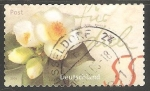 Stamps Germany -  Camelia