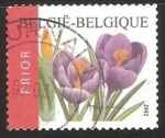 Stamps Belgium -  Azafranes