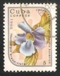 Stamps Cuba -   Thunbergia grandiflora