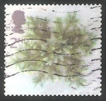 Stamps United Kingdom -  Flores