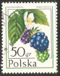 Stamps Poland -  árbol de Jesé 