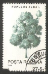 Stamps Poland -  Alamo blanco
