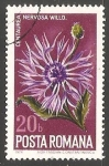 Stamps Romania -  Nervosa Centaurea