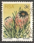 Stamps South Africa -  Protea neriifolia
