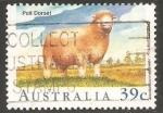 Stamps Australia -  Poll dorset-ovejas