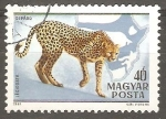 Stamps Hungary -  Gepard-guepardo
