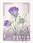 Stamps Hungary -  F L O R E S
