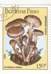 Stamps Burkina Faso -  S E T A S 