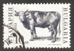 Stamps Bulgaria -  Bull (Bos primigenius taurus)