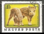 Stamps Hungary -  Sus Scrofa