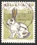 Stamps Switzerland -  Domestic Rabbit