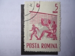 Stamps Romania -  campionatele Europene de Volei 1963.