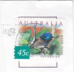 Stamps Australia -  AVE- VARIEGATED -FAIRY-WREN