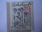 Stamps Czechoslovakia -  Rescate de Montañas.