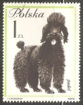 Stamps Poland -  Puddle Frances