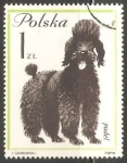 Stamps Poland -  Puddle Frances