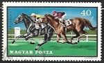 Stamps Hungary -  Caballos al galopo